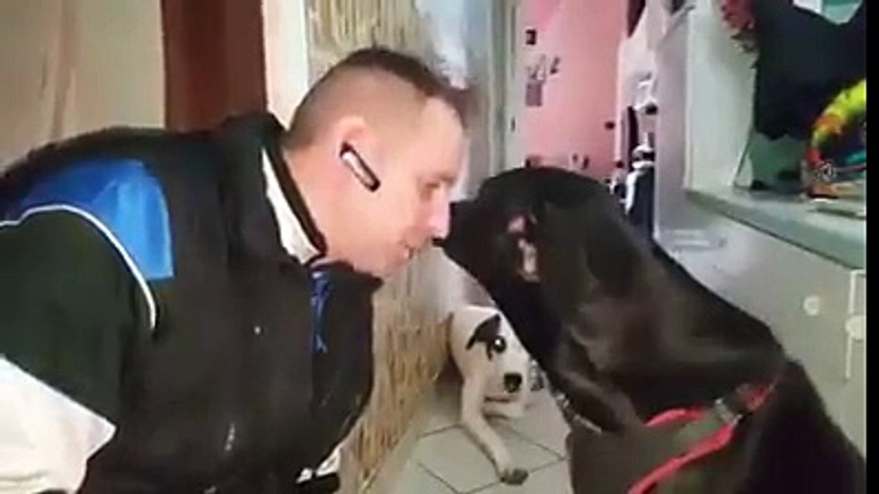 Il Padrone sgrida il proprio Cane..la Reazione!? ESILARANTE!