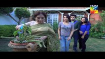 Zindagi ab bhi Muskurati Hai HUM TV Drama 17 August 2016
