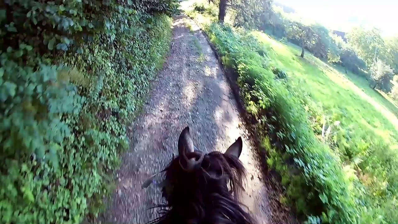 Il était une fois dans l'Ouest... de la Savoie