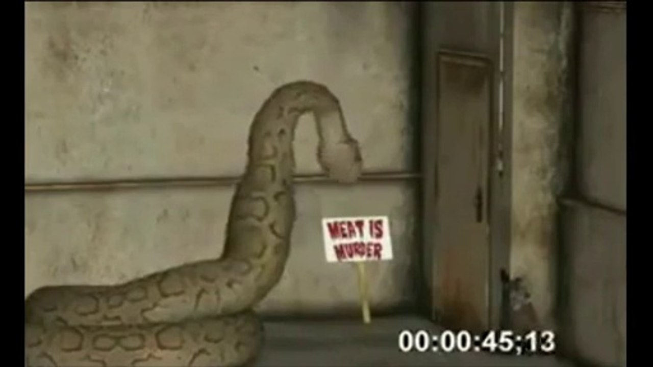 Giant Python eaten whole woman a Live