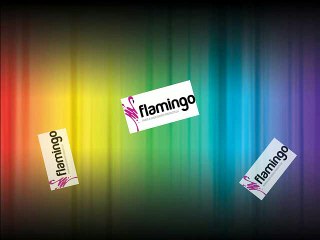 Premium Disposable Tableware Solutions - Flamingo Paper and Food Services LLC