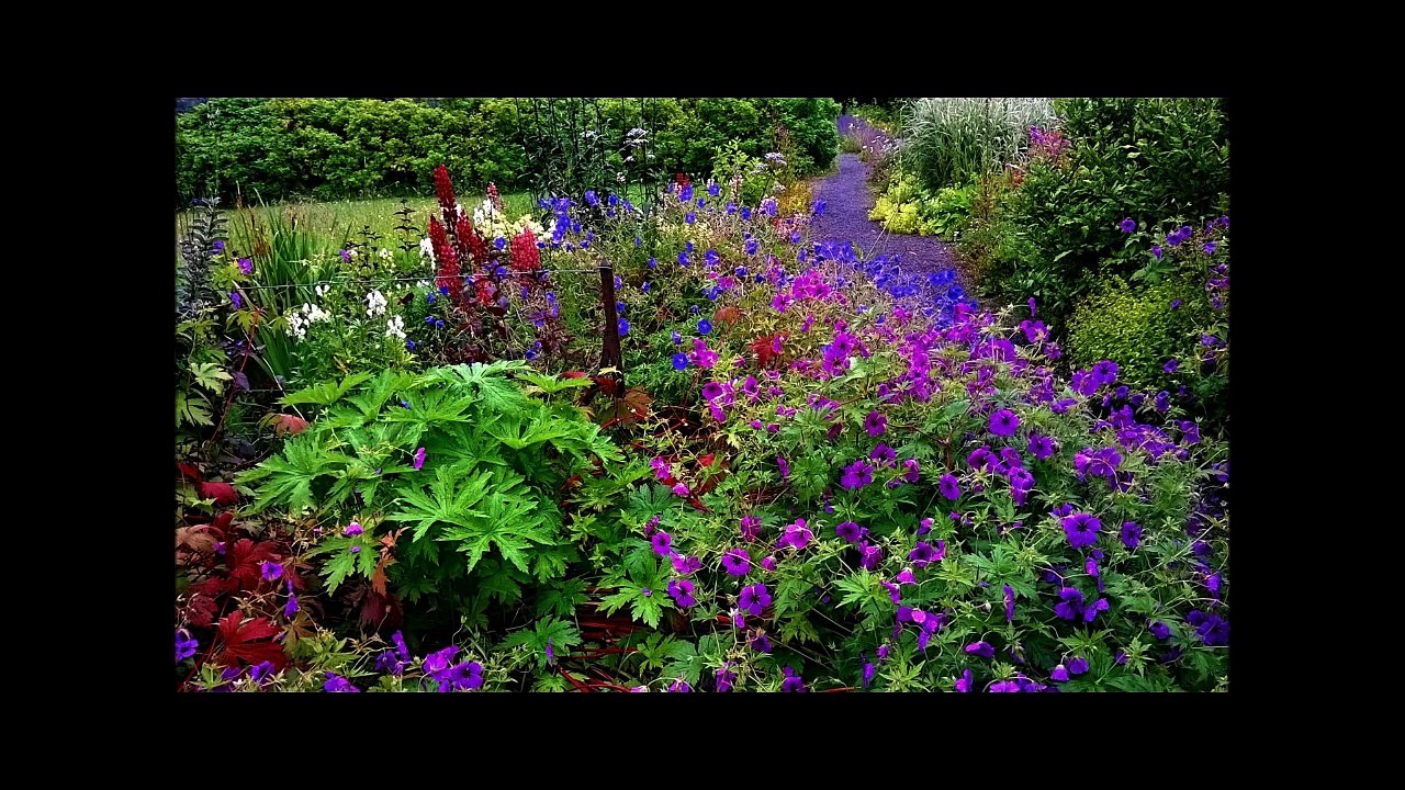 Jardin d'Ecosse nv