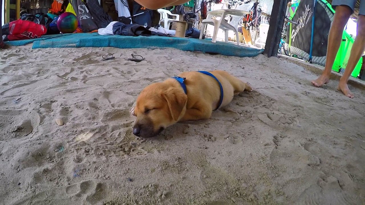 Colombia 2015 trip