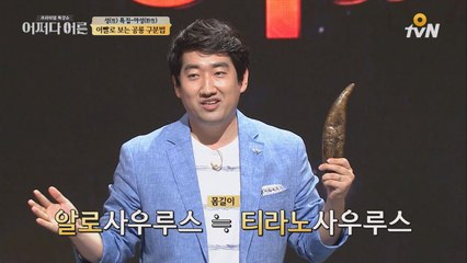 방송 최초! 초거대 ′육식 공룡′ 이빨 공개