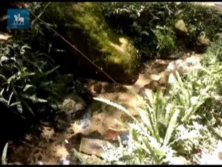 A menos de cem quilômetros de São Paulo, população pesca e planta com água do Tietê