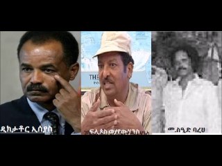 ሕሜታ ዉን ኣብ ቅትለት ተብጽሕ እያ፣ ሃይለ ተኪኤ!!