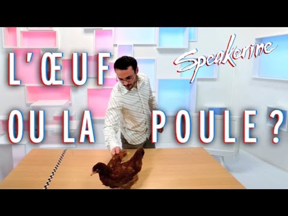L'œuf ou la poule - Speakerine