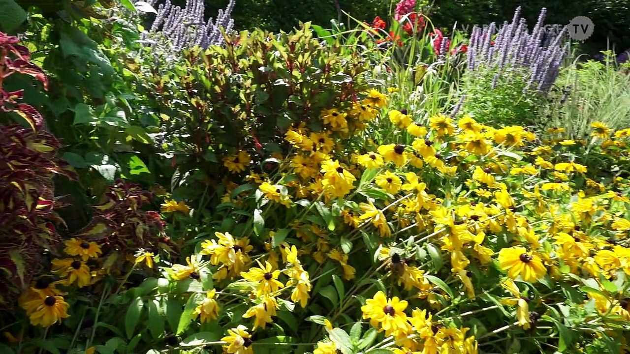 Peter Fischli David Weiss: Garten (Garden) / Fondation Beyeler