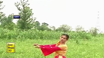 LATEST HIT HD MUJRA 2016 - TENU DILO JANU KARNI AAN - PUNAM MIRZA