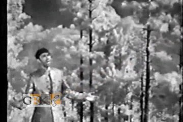 SALIM RAZA - AAJA DIL GHABRAYE - FANOOS
