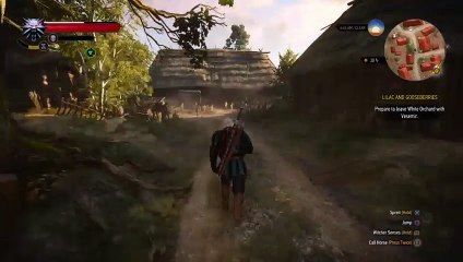 Witcher 3 noob (2)