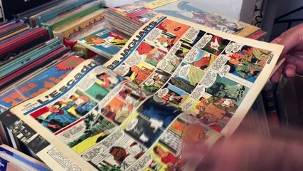 Le choix de Pauline: le journal de Tintin fête ses 70 ans, rencontre avec un passionné