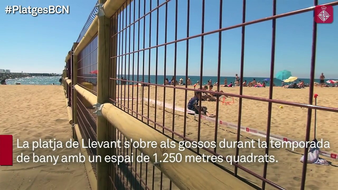 Toute une plage de 1200 mètres carrés entièrement réservée pour les chiens de la ville de Barcelone !