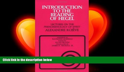 there is  Introduction to the Reading of Hegel: Lectures on the Phenomenology of Spirit