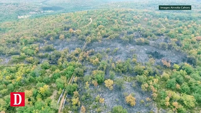 Incendie dans le Lot : 17 hectares brûlés