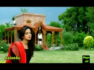 Jo Chaley To Jaan Se Guzar Gaye ( The Genius Waqar Ali ) OST.