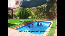 L'incredibile progetto per una piscina_prato - Video Dailymotion