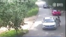 Tiger Attack at Badaling Wildlife Park in Beijing, China