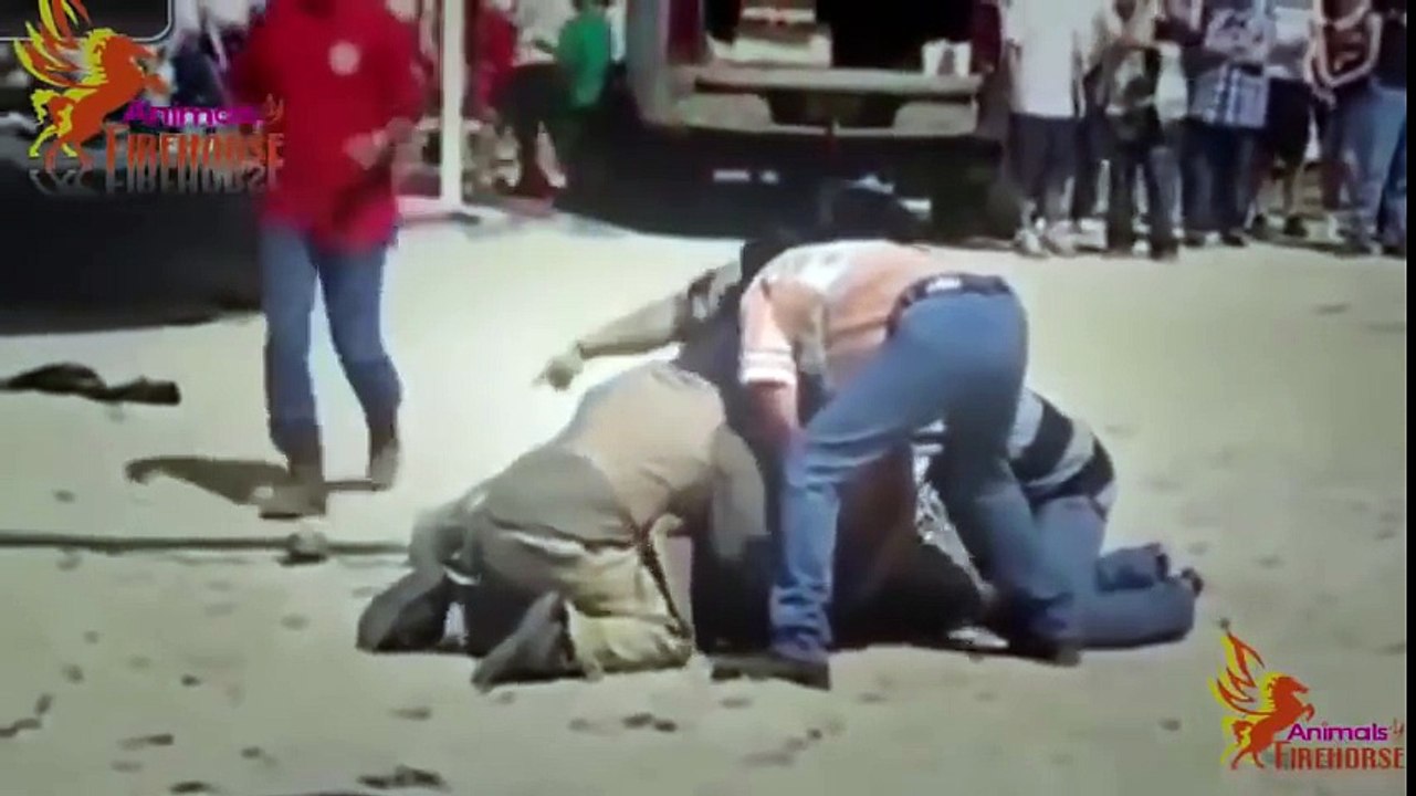 Animals Wildlife, tigers, crocodiles, snakes  kills  human