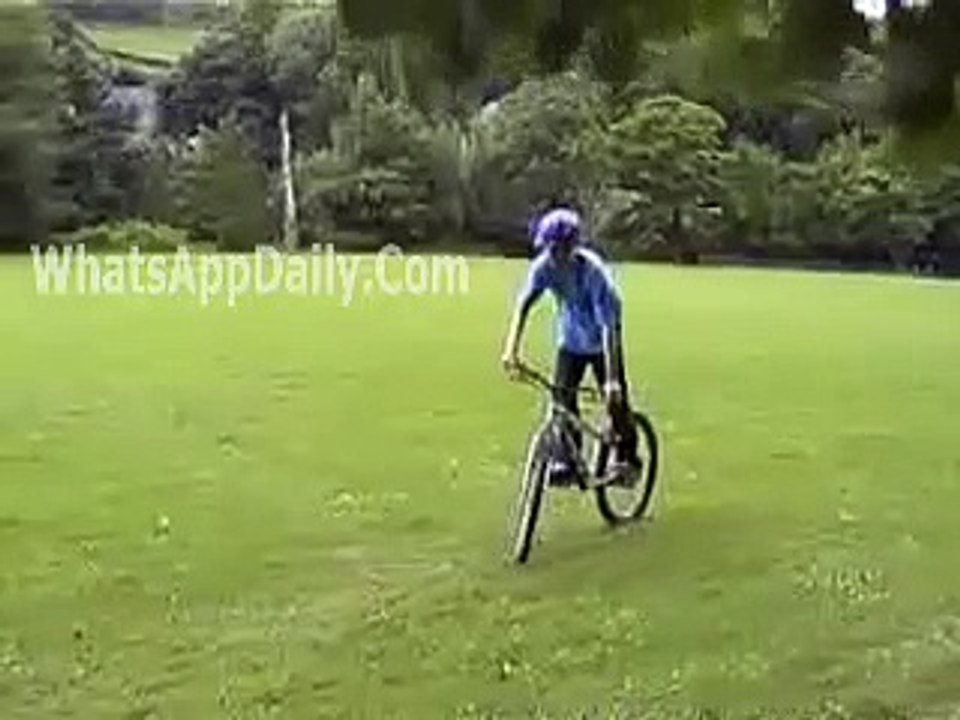 Funny Clips