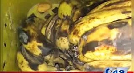 Abundance of insects in soda water