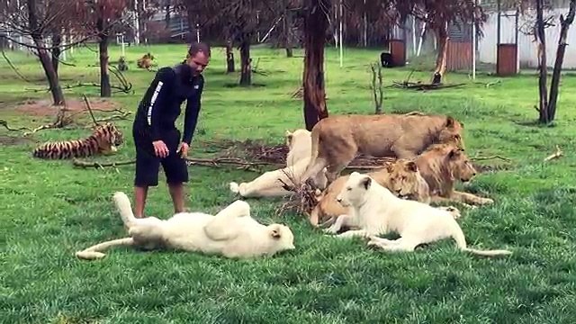 Un léopard attaque un homme, mais ce qui se produit ensuite est hallucinant!