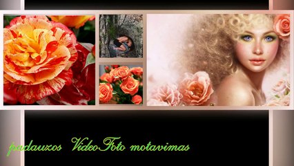 Борис Шварцман Роза алая