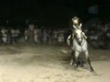 Fête du cheval balaruc le vieux 2007-Jacky Assié