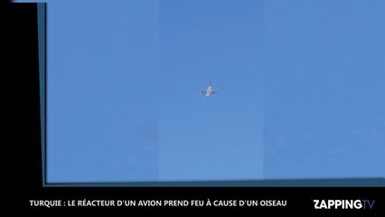 Istanbul : Le réacteur d’un avion prend feu à cause d’un oiseau, la vidéo buzz (Vidéo)
