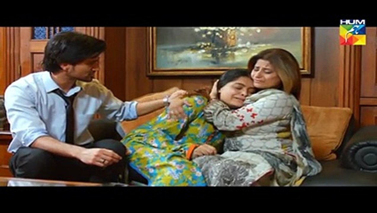 Pakeeza Episode 27 HUM TV