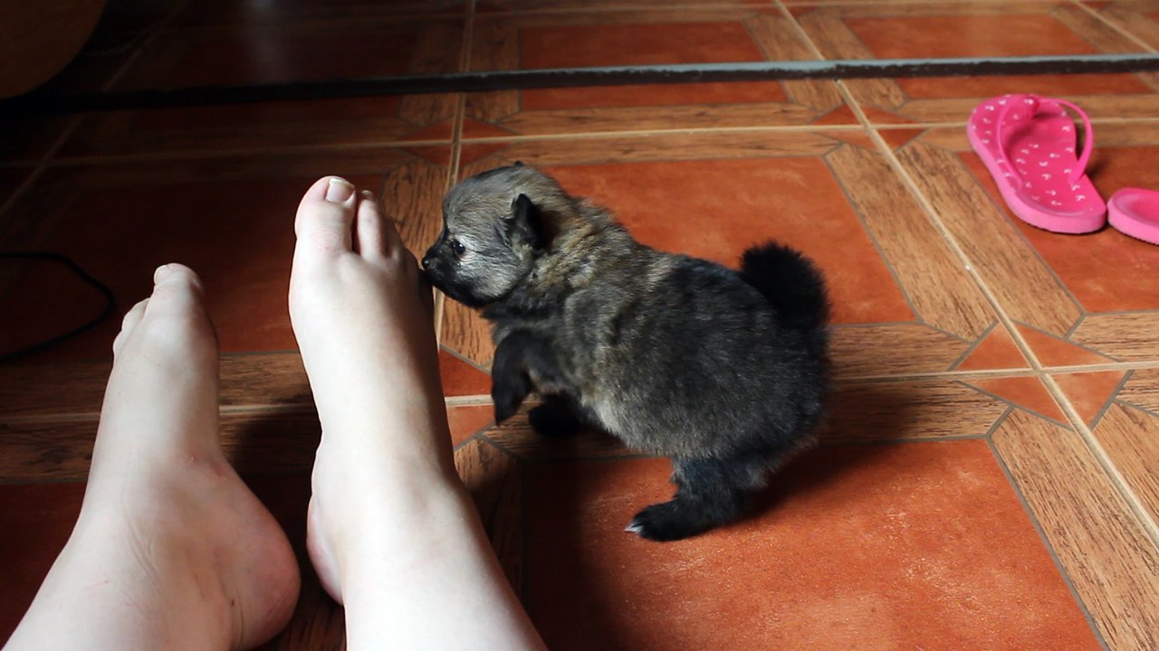 Marie darling du Jardin d'Inaya