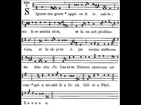 Introitus signum magnum, Assumptione B Mariae Virginis (Assomption Vierge Marie)