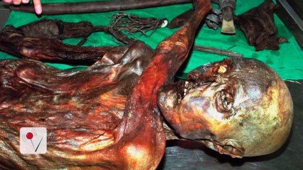 The Iceman's Clothing Cometh from Goat and Sheep Hides