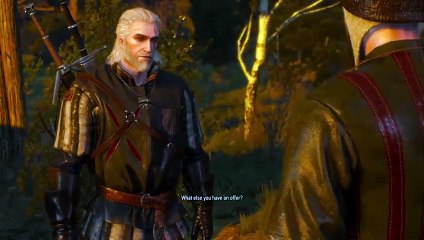 Witcher 3 noob (3)