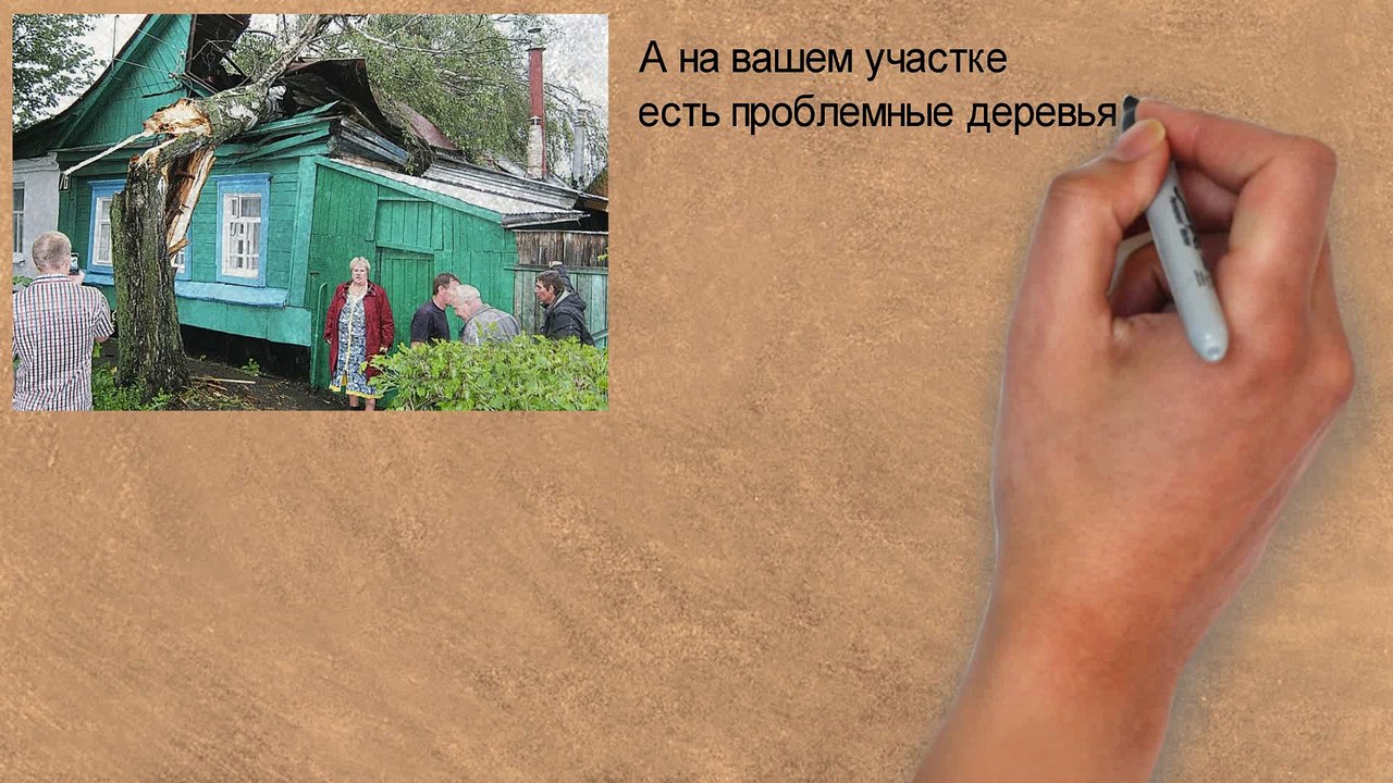СПИЛ И ВАЛКА ДЕРЕВЬЕВ в Петербурге и Ленинградской области