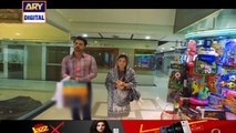 Watch Mein Mehru Hoon Episode 24 on Ary Digital in High Quality 18th August 2016