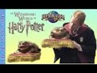 USH Wizarding World of Harry Potter Frog Choir Performance Giant Frogs | Liam and Taylor's Corner