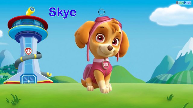 Aprende los Colores con La Patrulla Canina - BabyKids