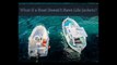 Life Jackets Can Prevent Injuries in Boating Accidents: Guide for California Boaters