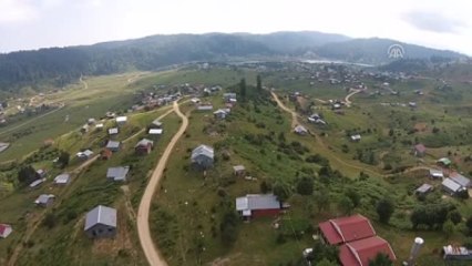 Adil Öksüz Acelle Yaylası'nda Aranıyor