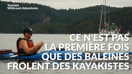 Ces kayakistes ont eu la peur (et la vidéo) de leur vie