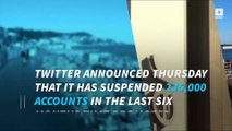 Twitter has suspended 360,000 accounts for terror-related activity