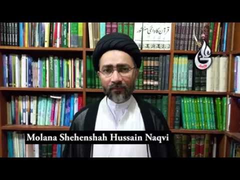 Review of MOLANA SHEHENSHAH HUSSAIN NAQVI About SYED FARHAN ALI WARIS