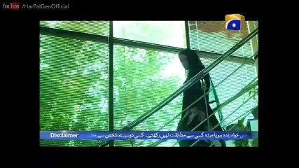 Sangdil Episode 55 | Watch the Latest Drama on Har Pal Geo