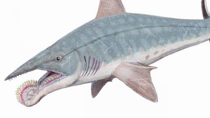 Top 10 Strangest Prehistoric Creatures