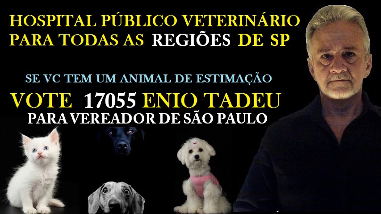 Músicas Internacionais Antigas Clássicos Românticos