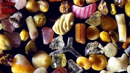 600 Kg'lık Balina Kalbi! (İnanamayacağın 30 Gerçek!)