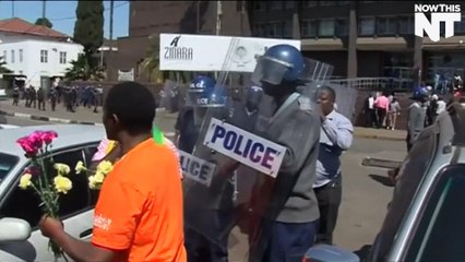 Protesters Giving Flowers Beaten By Police In Zimbabwe