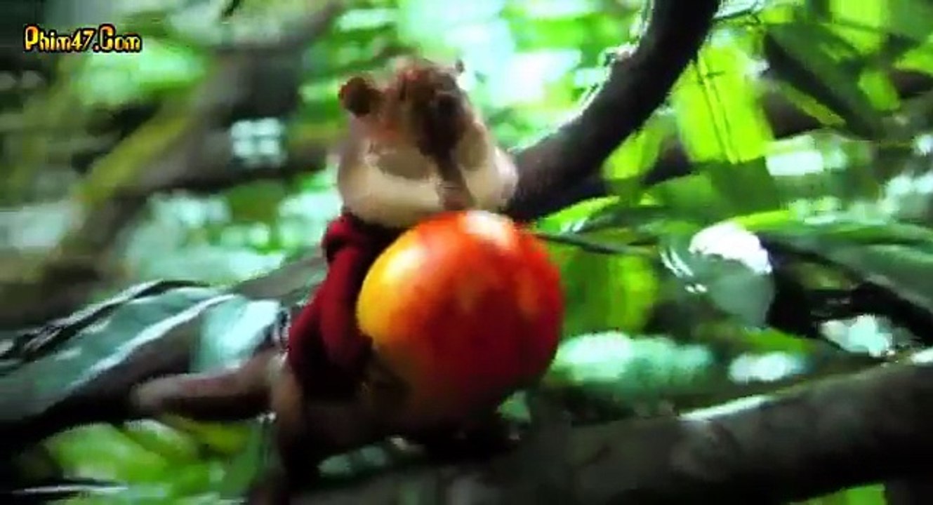 Sóc siêu quậy 3 - Tập 3