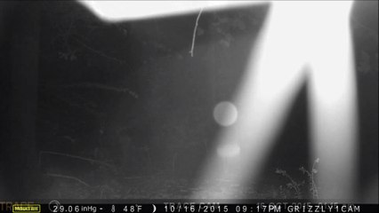 6 light objets in straight line formation moving forward past camera harira, GA,US,31.08.2015.